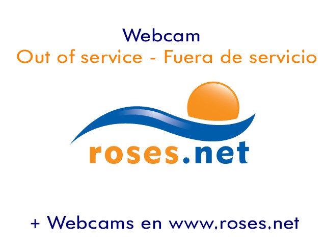 webcam_roses.jpg